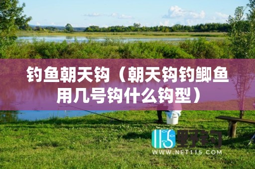 钓鱼朝天钩（朝天钩钓鲫鱼用几号钩什么钩型）