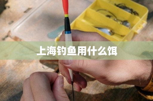 上海钓鱼用什么饵