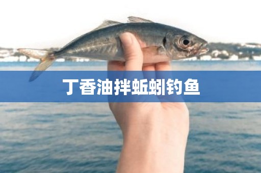 丁香油拌蚯蚓钓鱼