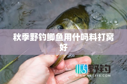 秋季野钓鲫鱼用什吗料打窝好