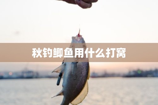 秋钓鲫鱼用什么打窝