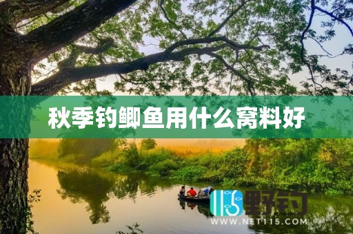 秋季钓鲫鱼用什么窝料好
