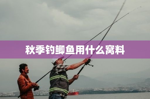 秋季钓鲫鱼用什么窝料