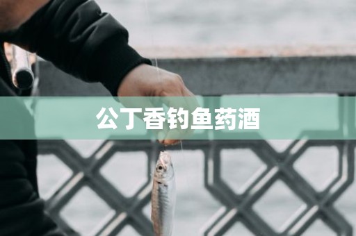 公丁香钓鱼药酒