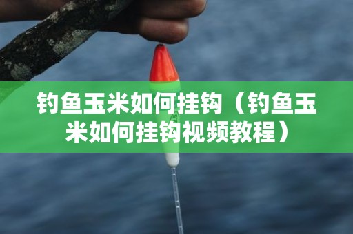 钓鱼玉米如何挂钩（钓鱼玉米如何挂钩视频教程）