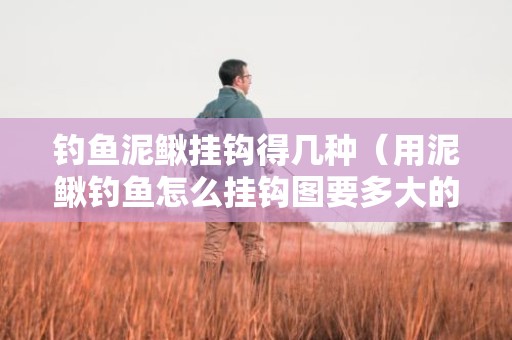 钓鱼泥鳅挂钩得几种（用泥鳅钓鱼怎么挂钩图要多大的钩）