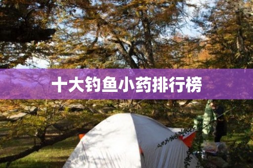 十大钓鱼小药排行榜
