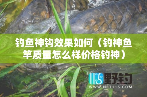 钓鱼神钩效果如何（钓神鱼竿质量怎么样价格钓神）