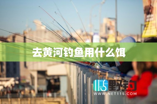 去黄河钓鱼用什么饵
