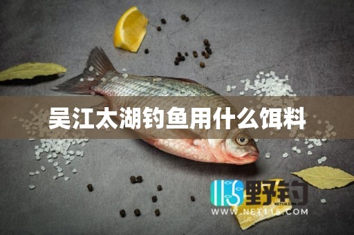 吴江太湖钓鱼用什么饵料