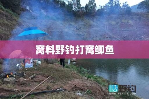窝料野钓打窝鲫鱼