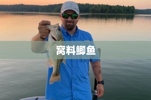 窝料鲫鱼