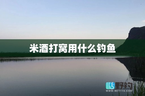 米酒打窝用什么钓鱼