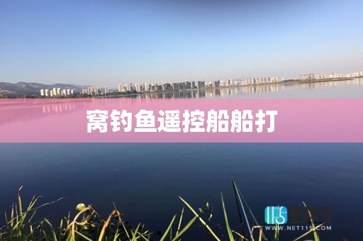 窝钓鱼遥控船船打