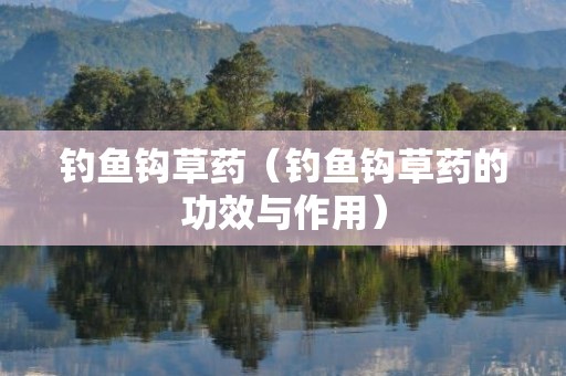 钓鱼钩草药（钓鱼钩草药的功效与作用）