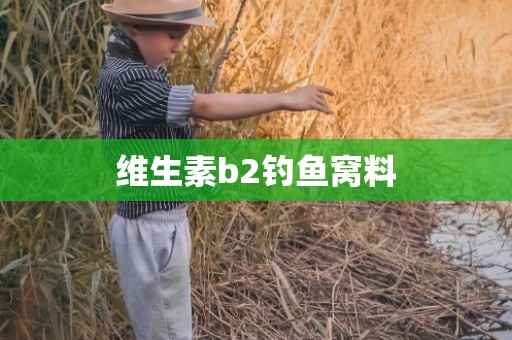 维生素b2钓鱼窝料