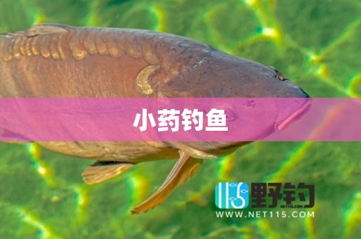 小药钓鱼
