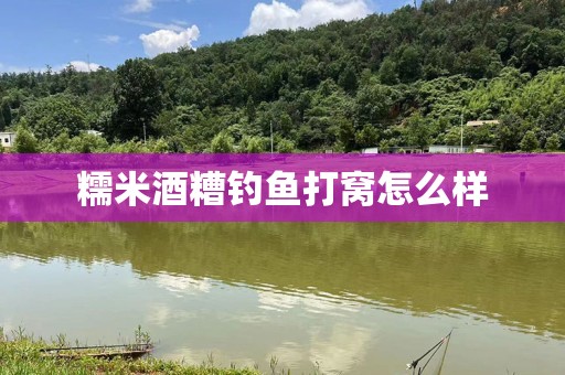 糯米酒糟钓鱼打窝怎么样