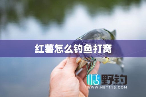 红薯怎么钓鱼打窝