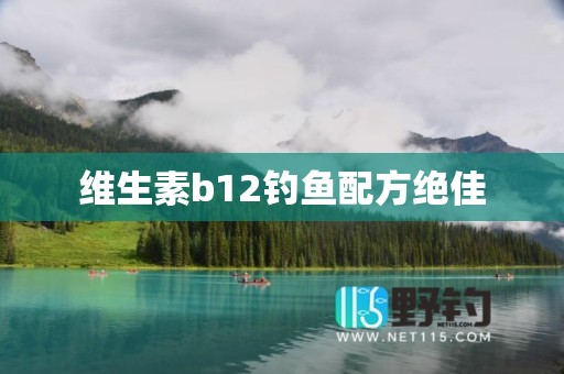 维生素b12钓鱼配方绝佳