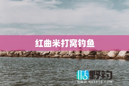 红曲米打窝钓鱼