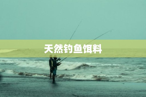天然钓鱼饵料