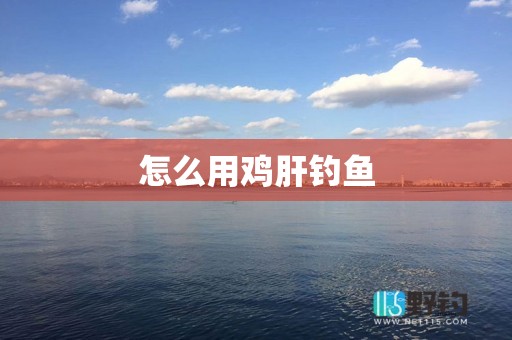 怎么用鸡肝钓鱼