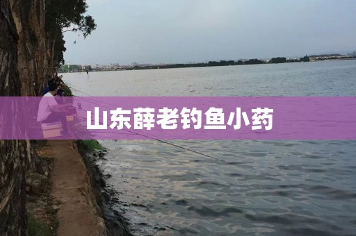 山东薛老钓鱼小药