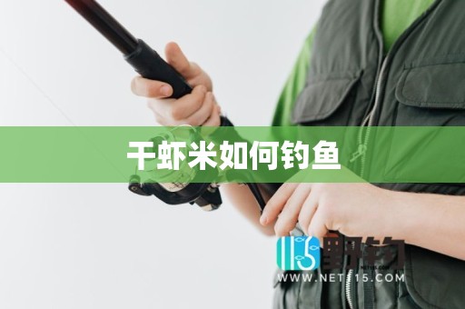 干虾米如何钓鱼
