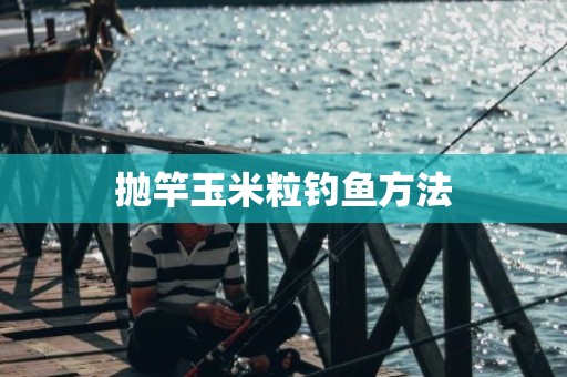 抛竿玉米粒钓鱼方法