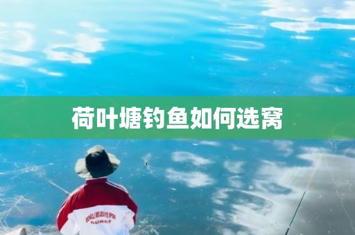 荷叶塘钓鱼如何选窝