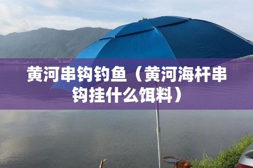 黄河串钩钓鱼（黄河海杆串钩挂什么饵料）