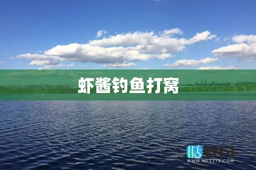 虾酱钓鱼打窝