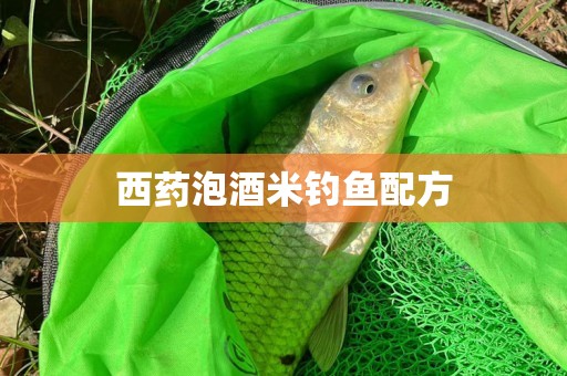 西药泡酒米钓鱼配方
