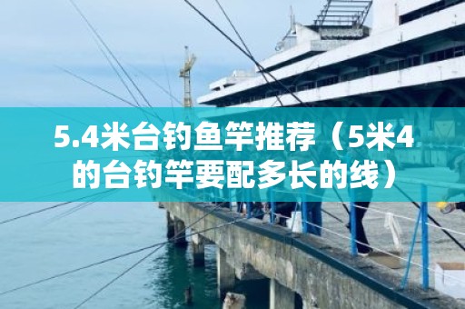 5.4米台钓鱼竿推荐（5米4的台钓竿要配多长的线）