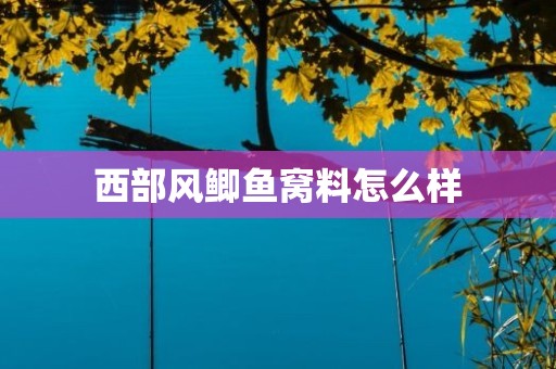 西部风鲫鱼窝料怎么样