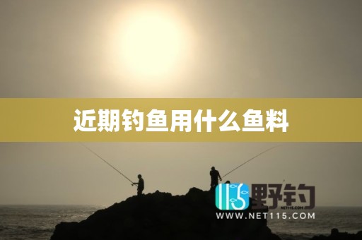 近期钓鱼用什么鱼料