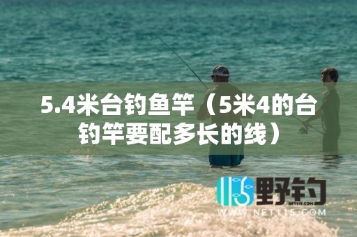 5.4米台钓鱼竿（5米4的台钓竿要配多长的线）