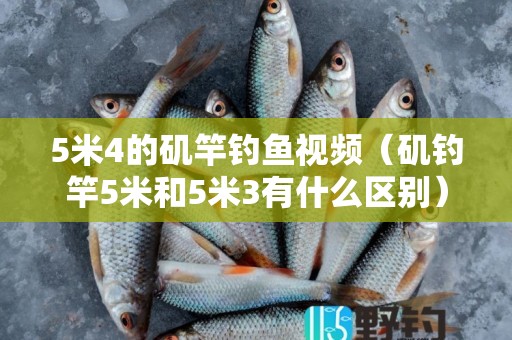 5米4的矶竿钓鱼视频（矶钓竿5米和5米3有什么区别）