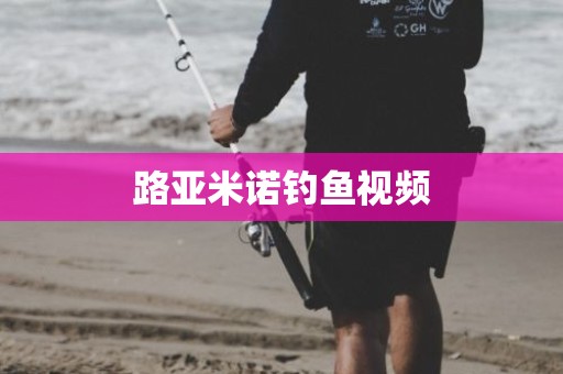 路亚米诺钓鱼视频