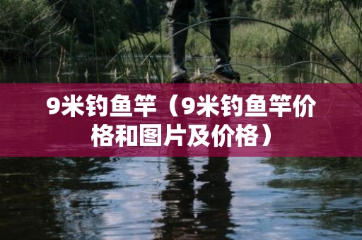 9米钓鱼竿（9米钓鱼竿价格和图片及价格）