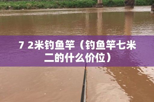 7 2米钓鱼竿（钓鱼竿七米二的什么价位）