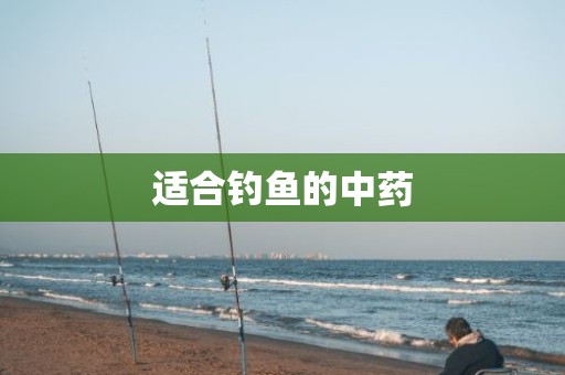 适合钓鱼的中药