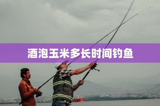 酒泡玉米多长时间钓鱼