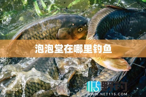 泡泡堂在哪里钓鱼