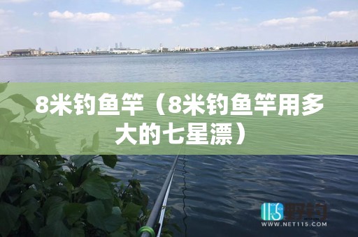 8米钓鱼竿（8米钓鱼竿用多大的七星漂）