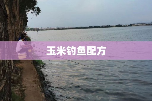 玉米钓鱼配方
