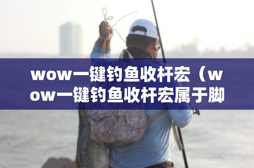 wow一键钓鱼收杆宏（wow一键钓鱼收杆宏属于脚本吗）