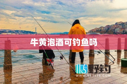 牛黄泡酒可钓鱼吗