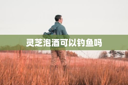 灵芝泡酒可以钓鱼吗